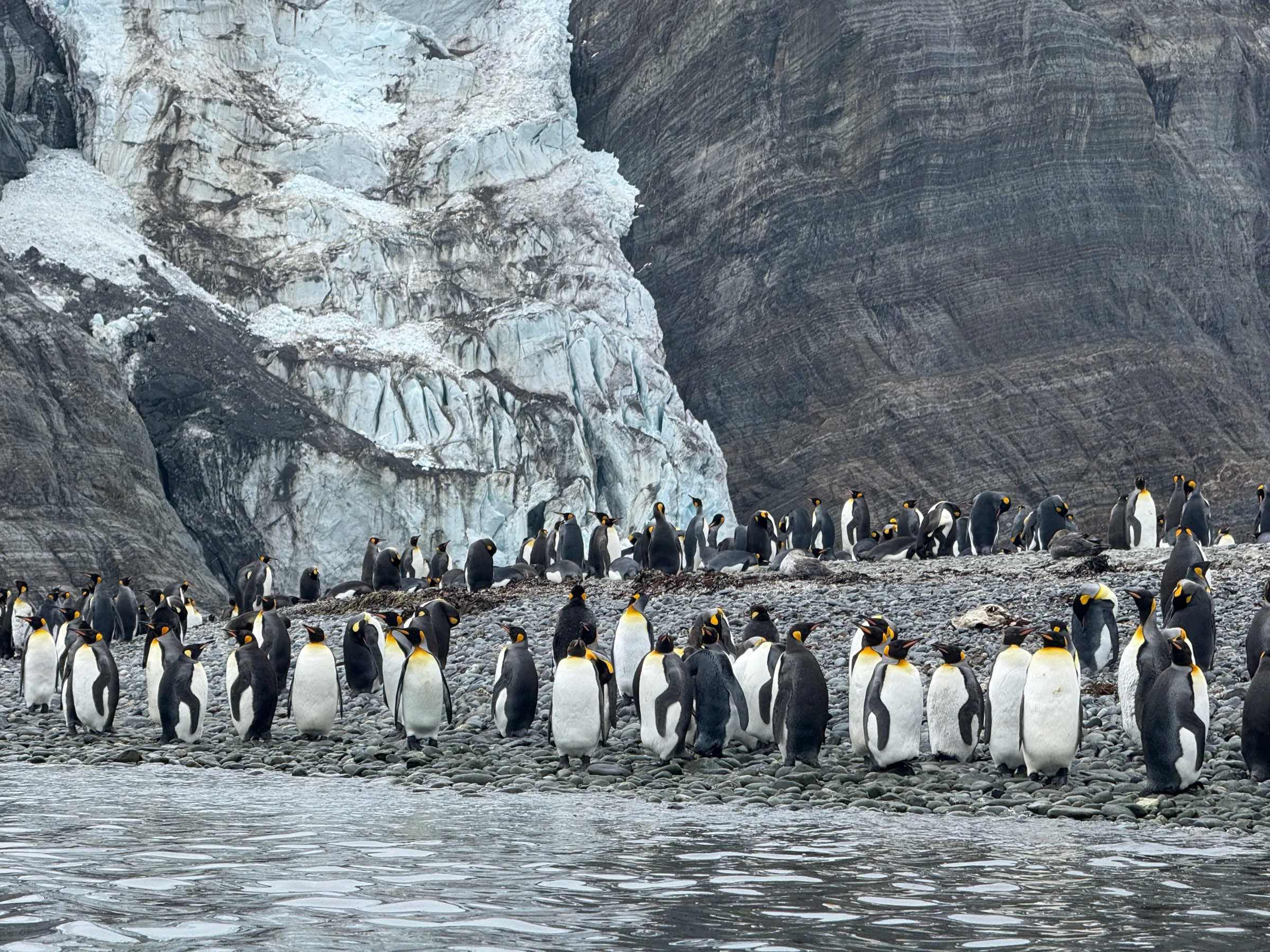 Arctic or Antarctic: what actually decides it